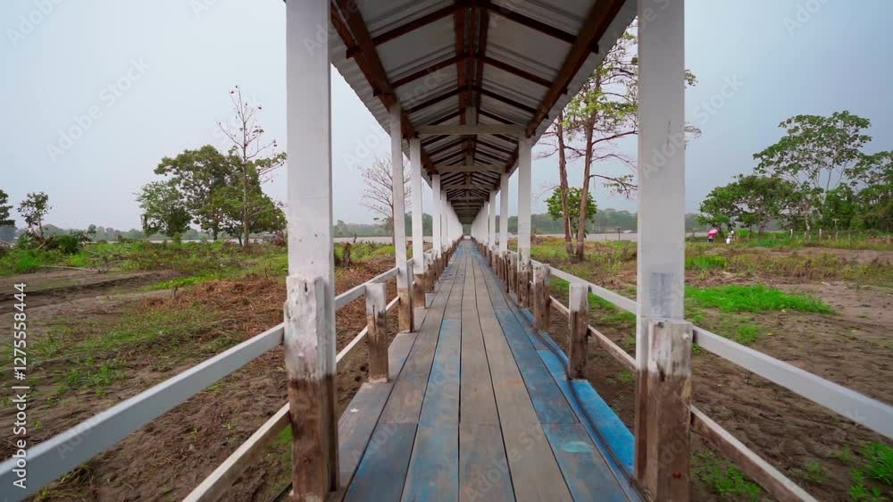 Wooden pathway in a rainforest village, lush greenery and calm atmosphere, Brazil Wooden pathway in a rainforest village, lush greenery and calm atmosphere, Brazil