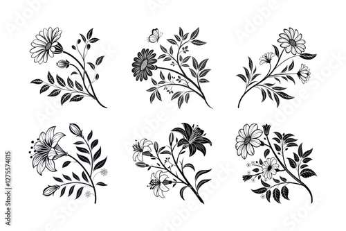 Milkweed (Asclepias spp.) silhouette vector illustration
