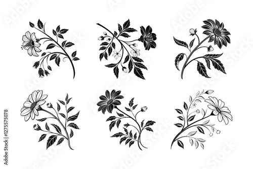 Milkweed (Asclepias spp.) silhouette vector illustration