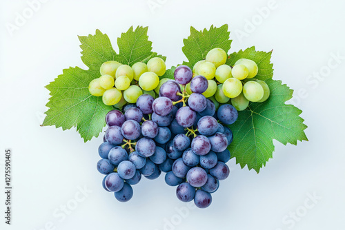 Bunch of Grapes