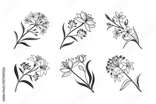 Milkweed (Asclepias spp.) silhouette vector illustration