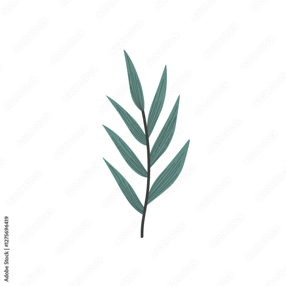 Handdrawn Leaf Illustration Handdrawn Leaf Illustration