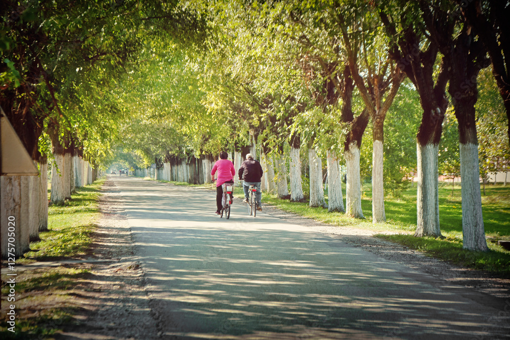 Fototapeta premium Senior couple riding bicycles down the tree-lined street on a sunny day