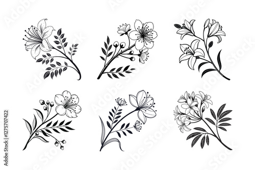 Mimosa (Mimosa pudica) silhouette vector illustration