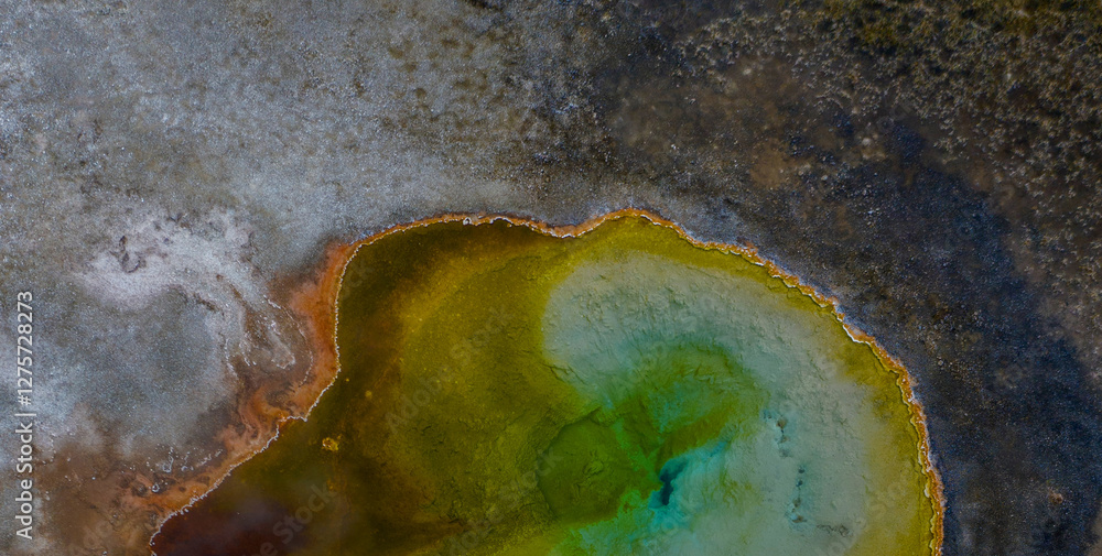 Fluid Beauty: Unveiling the Mysterious Allure of Liquid Art in Oil Fluid Beauty: Unveiling the Mysterious Allure of Liquid Art in Oil