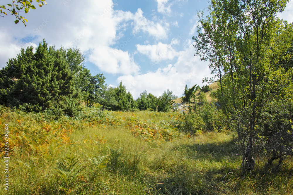 Fototapeta premium Vikos gorge and Pindus Mountains, Zagori, Epirus, Greece
