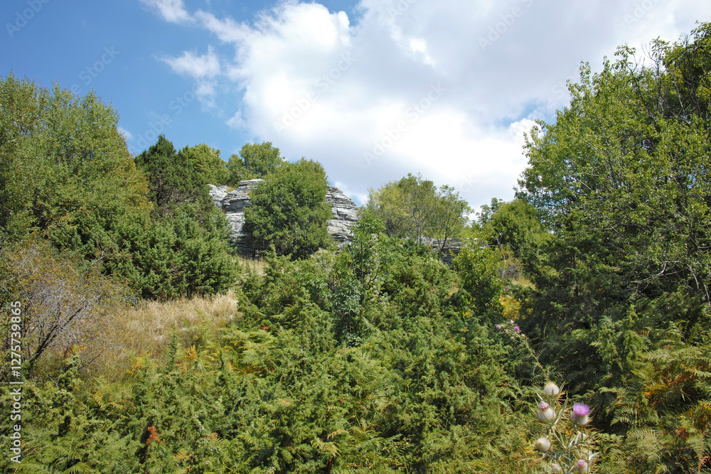 Fototapeta premium Vikos gorge and Pindus Mountains, Zagori, Epirus, Greece