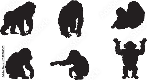 Chimpanzee silhouettes