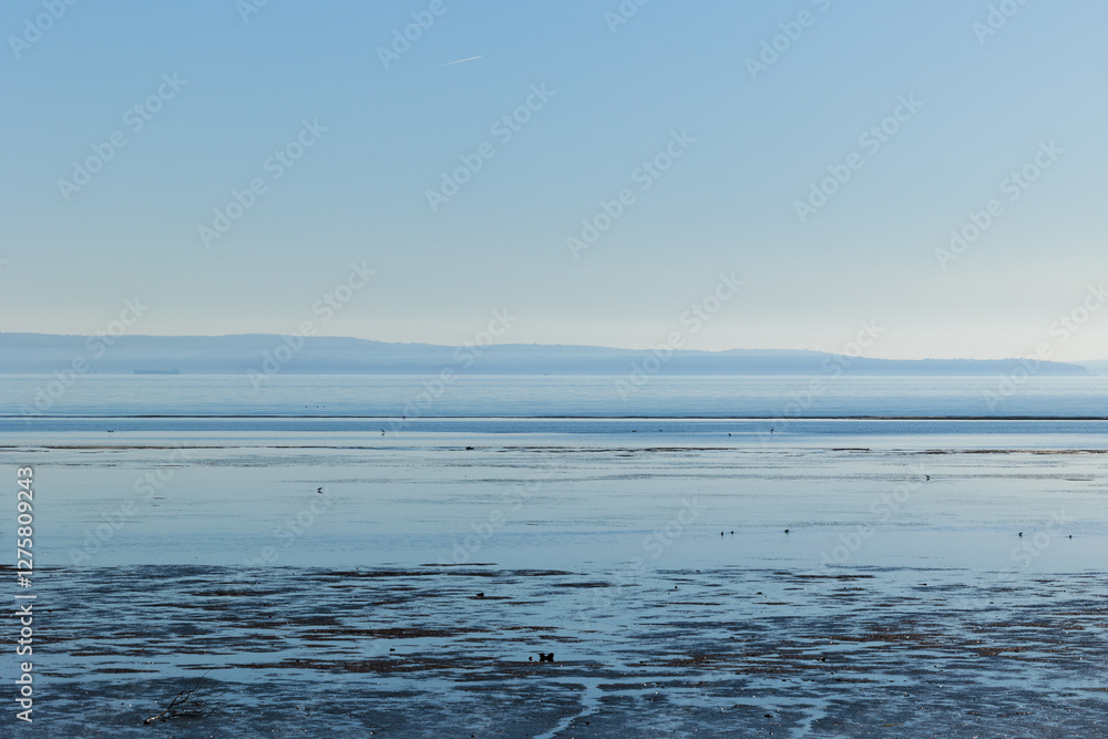 ambiente naturale costiero del Mare Adriatico con bassa marea, vicino al Golfo di Trieste, colorato di arancione dalla luce del sole al tramonto, in inverno