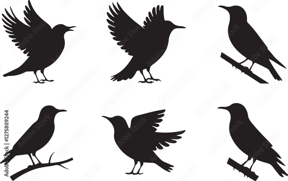 Obraz premium Starling silhouettes