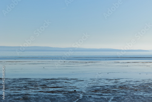 Obraz na płótnie ambiente naturale costiero del Mare Adriatico con bassa marea, vicino al Golfo di Trieste, colorato di arancione dalla luce del sole al tramonto, in inverno w salonie