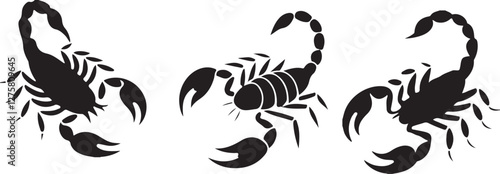 Scorpion silhouettes
