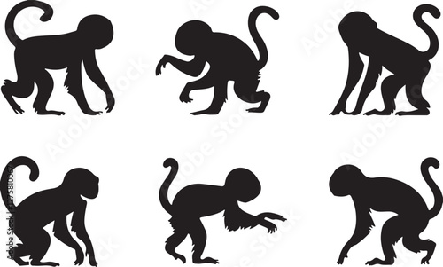 Gibbon silhouettes 