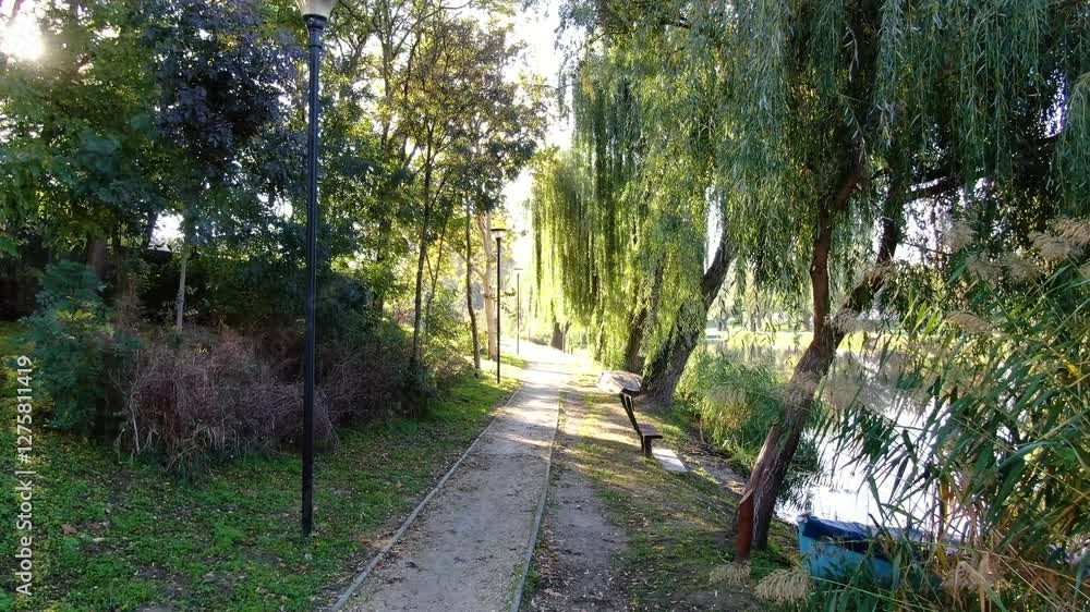 Sunlit path lined with lush greenery beside the Vajas River in Dusnok, Hungary Sunlit path lined with lush greenery beside the Vajas River in Dusnok, Hungary