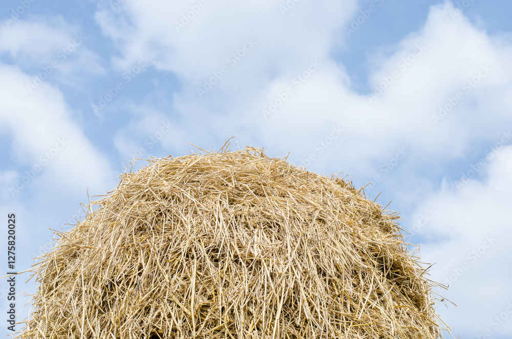 Haystack against a blue sky with clouds Haystack against a blue sky with clouds