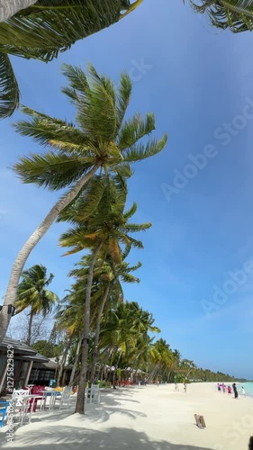 Tropical beach on Maldives during sunny day 