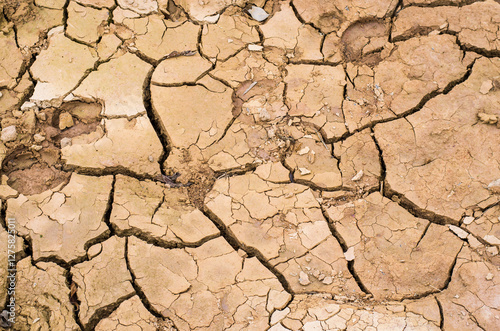 Dry cracked earth surface pattern.