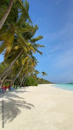 Tropical beach on Maldives during sunny day 