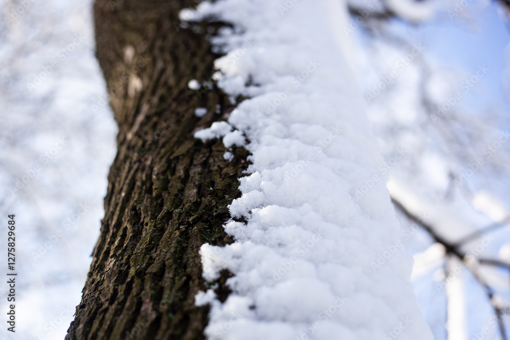 Tree stump topped with a thick snow layer, surrounded by evergreen trees in a snowy winter forest, symbolizing nature's beauty Tree stump topped with a thick snow layer, surrounded by evergreen trees in a snowy winter forest, symbolizing nature's beauty