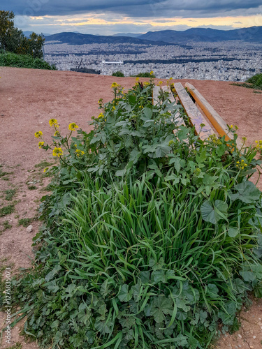 Bench with a view in Athens with cloudy weather