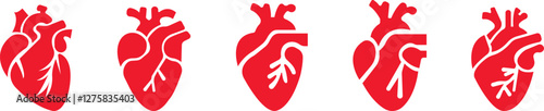 Anatomical heart icon set.Human anatomy internal organ set with brain lung intestine heart kidney liver and stomatch.Healthy Cardiovascular Organ Symbol Collection on White Background and red.