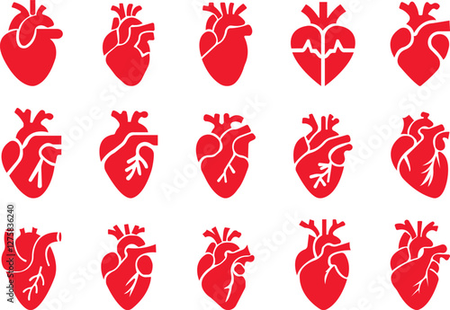 Anatomical heart icon set.Human anatomy internal organ set with brain lung intestine heart kidney liver and stomatch.Healthy Cardiovascular Organ Symbol Collection on White Background and red.