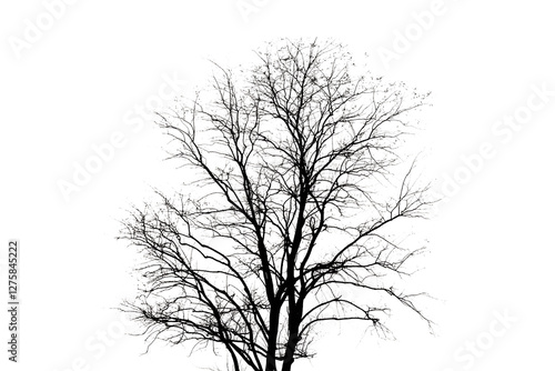 Tableau sur toile sagoma di colore nero di un albero spoglio in inverno, scontornata su sfondo tra