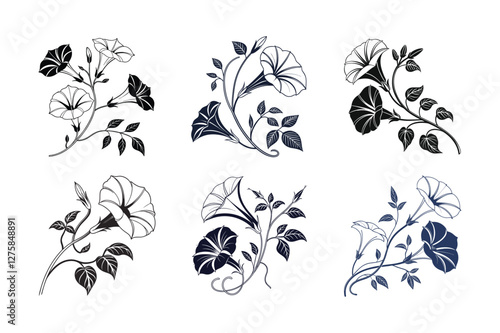 Morning Glory (Ipomoea spp.) silhouette vector illustration