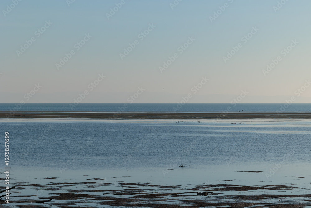 ambiente naturale costiero del Mare Adriatico con bassa marea, vicino al Golfo di Trieste, colorato di arancione dalla luce del sole al tramonto, in inverno ambiente naturale costiero del Mare Adriatico con bassa marea, vicino al Golfo di Trieste, colorato di arancione dalla luce del sole al tramonto, in inverno