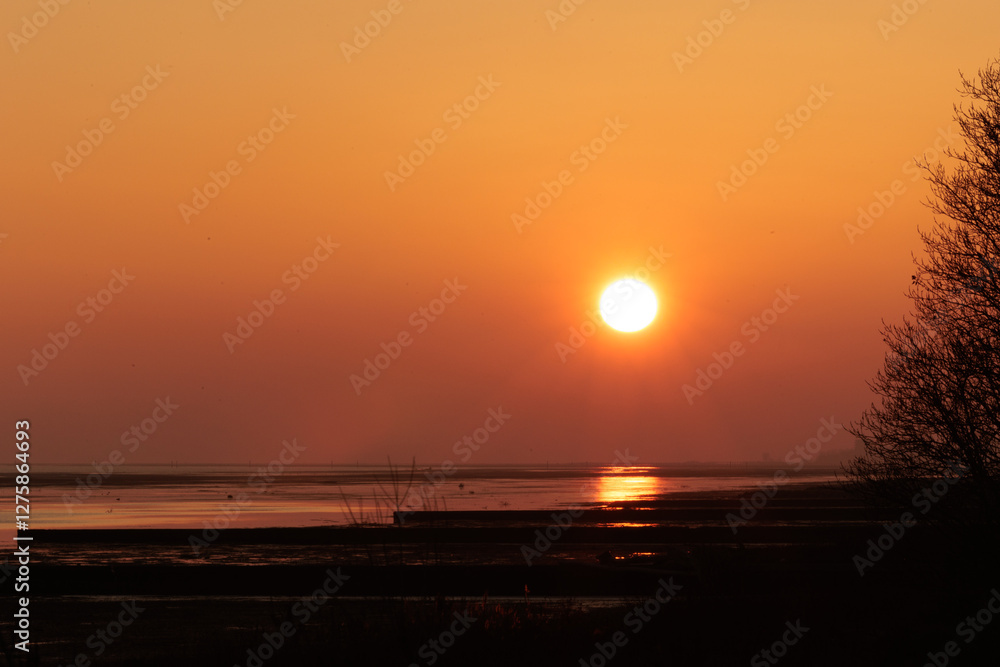 ambiente marino lungo la costa del mare Adriatico sul Golfo di Trieste, nel nord Italia, al tramonto, in inverno