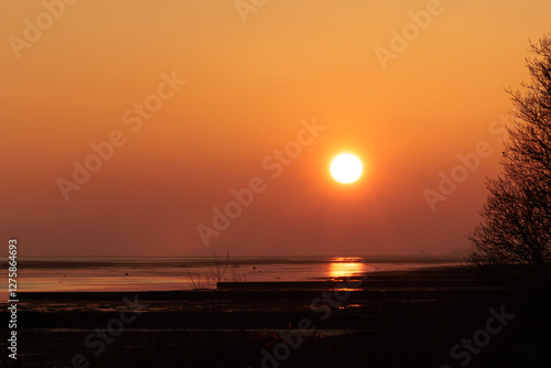 Obraz na płótnie ambiente marino lungo la costa del mare Adriatico sul Golfo di Trieste, nel nord Italia, al tramonto, in inverno w salonie