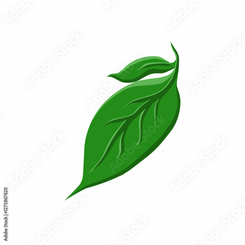 Green Leaf Vector Illustration - Fresh Nature Plant Icon, Isolated Botanical Design, Organic Growth, Natural Environment, Eco-Friendly Concept, Spring Foliage, Abstract Art, Minimalist Flora. 