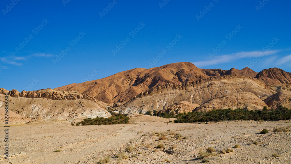 Oasi di Chebica con la sorgente di acqua potabile e l'antico villaggio Berbero. provincia di Tozeur,Tunisia Oasi di Chebica con la sorgente di acqua potabile e l'antico villaggio Berbero. provincia di Tozeur,Tunisia