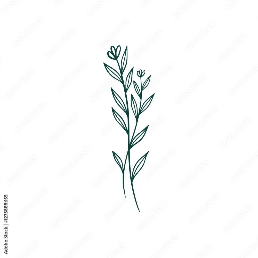 botanical leaf doodle wildflower line art botanical leaf doodle wildflower line art