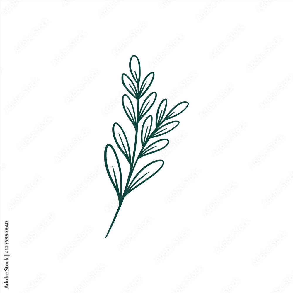 botanical leaf doodle wildflower line art botanical leaf doodle wildflower line art