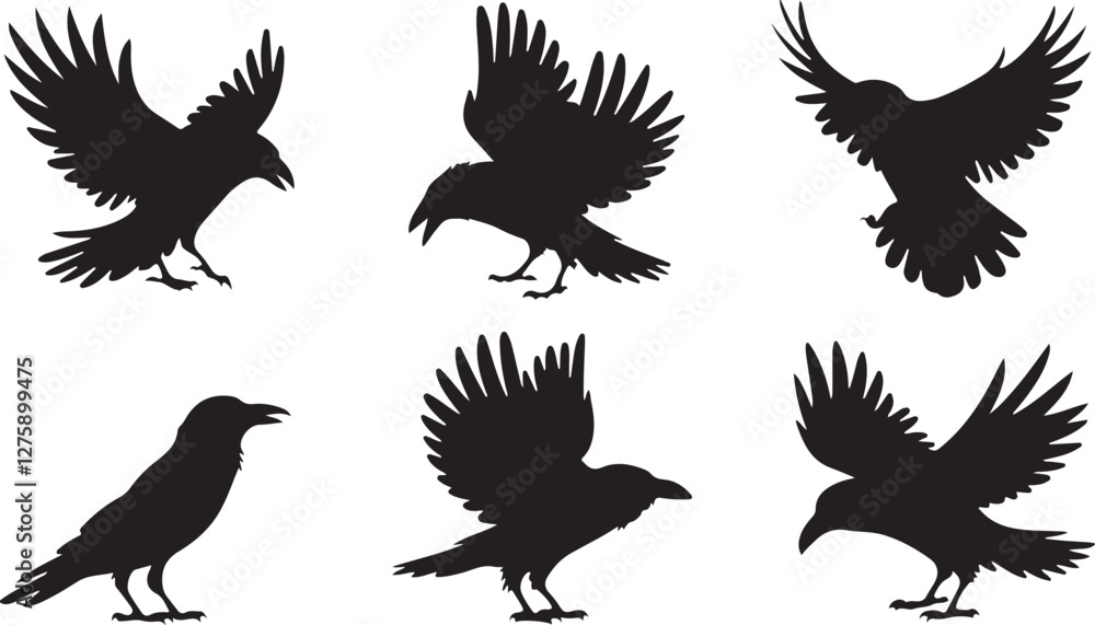 Obraz premium Crow silhouettes