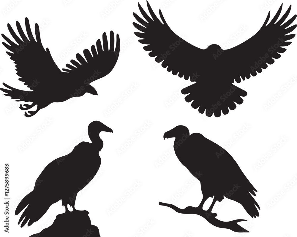 Fototapeta premium Vulture silhouettes