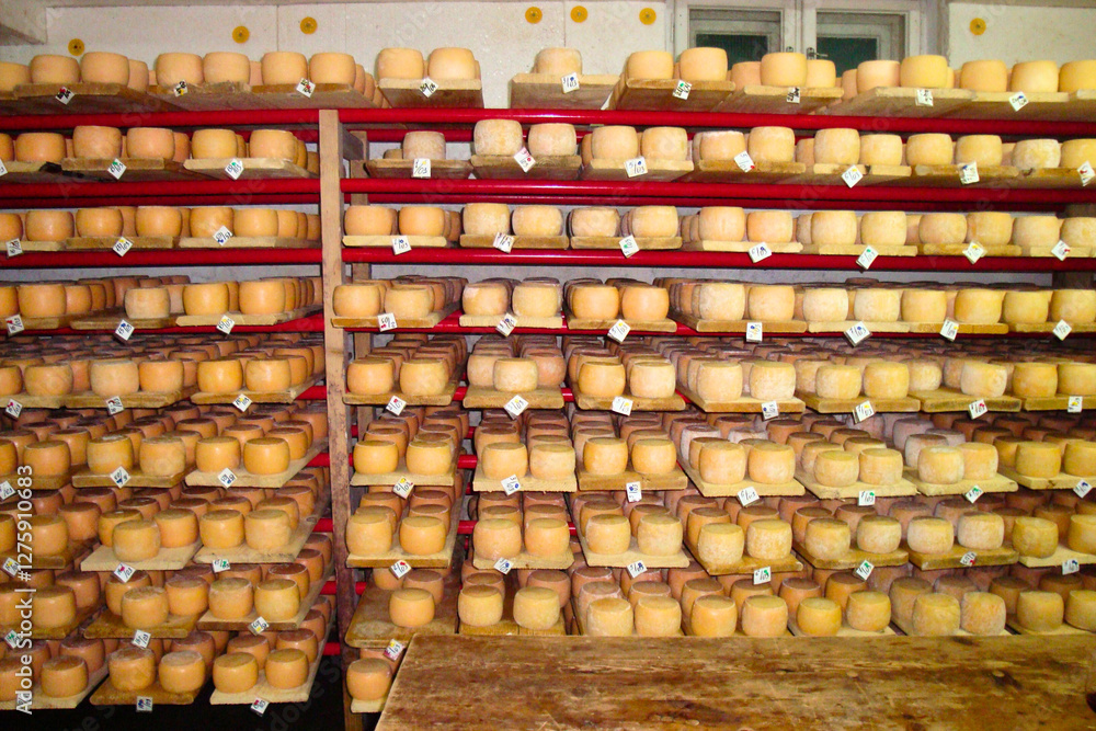 Fototapeta premium Cheese production, cheese factory