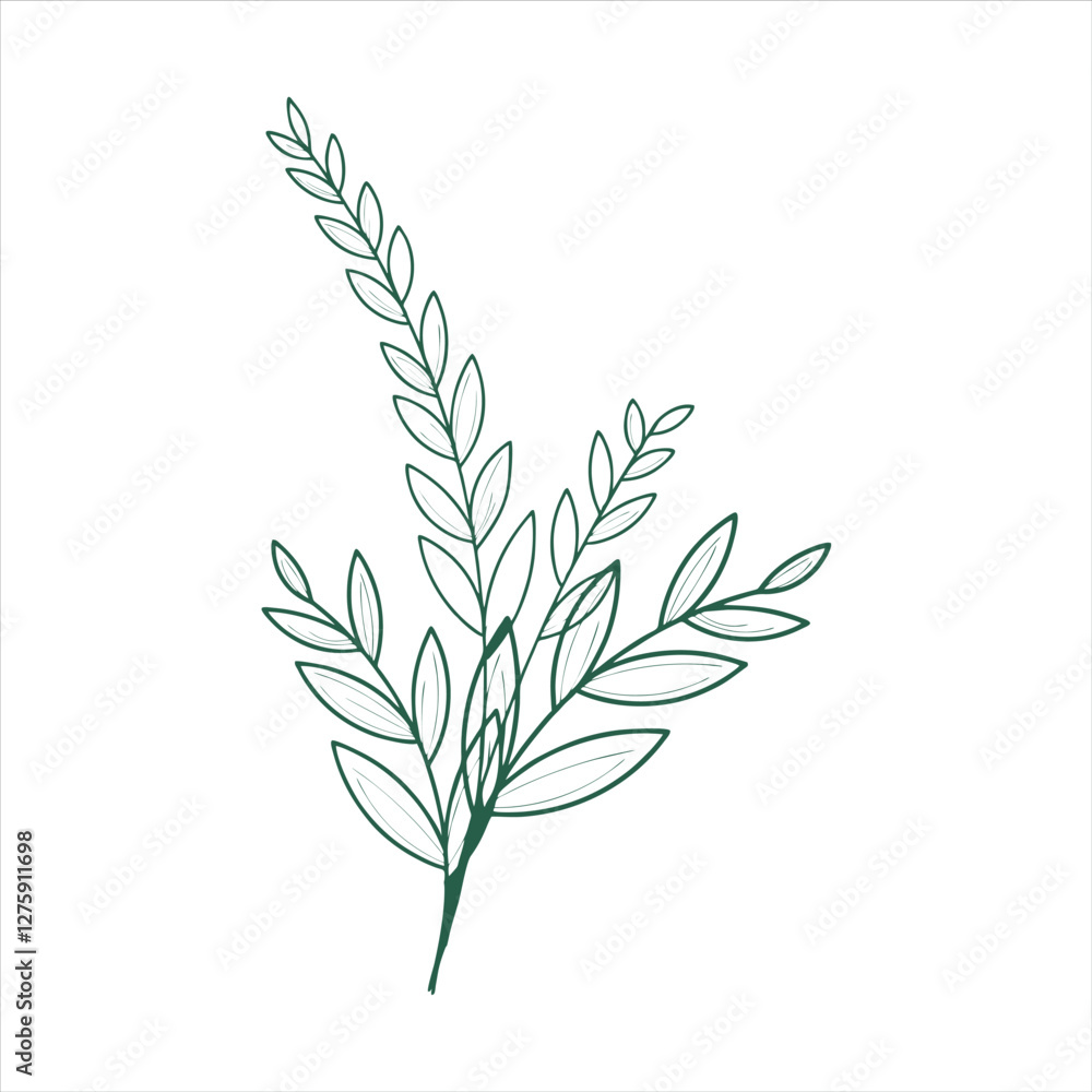 Botanical leaf doodle wildflower line art Botanical leaf doodle wildflower line art