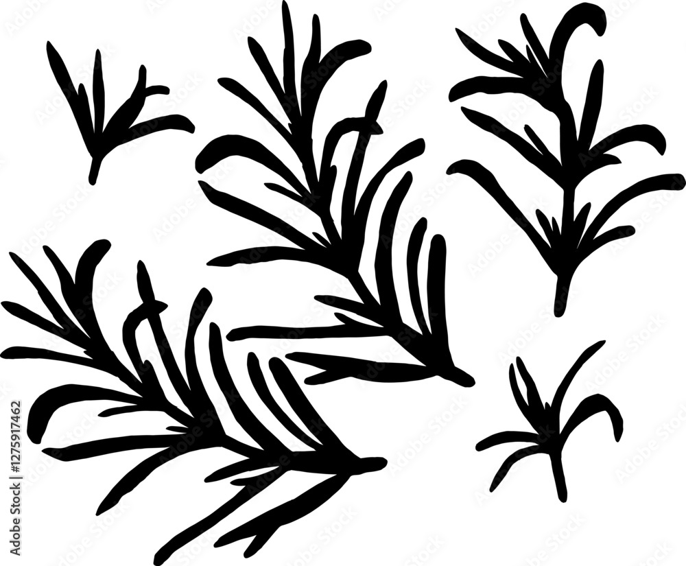 Fototapeta premium A sprig of rosemary with leaves on the stem. Rosemary Silhouette Set isolated on a white background The best for design logo, menu, label, icon, stamp