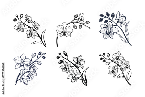 Orchid (Orchidaceae family) silhouette vector illustration