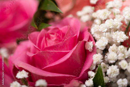 Beautiful pink rose with baby's breath. Perfect for Valentine's Day or romantic themes. photo