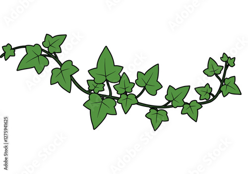 Ivy leaves clipart. This image shows a vine with green ivy leaves. Vector illustration design.