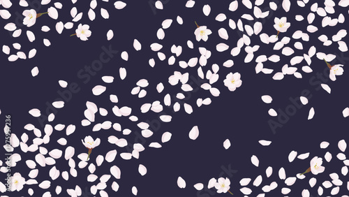 Seamless pattern with hand drawn cherry blossoms and petals in the night sky