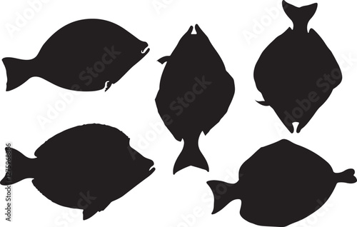 Flounder silhouettes