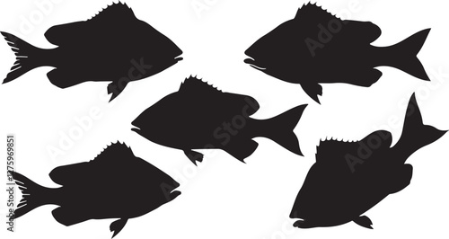 Snapper silhouettes