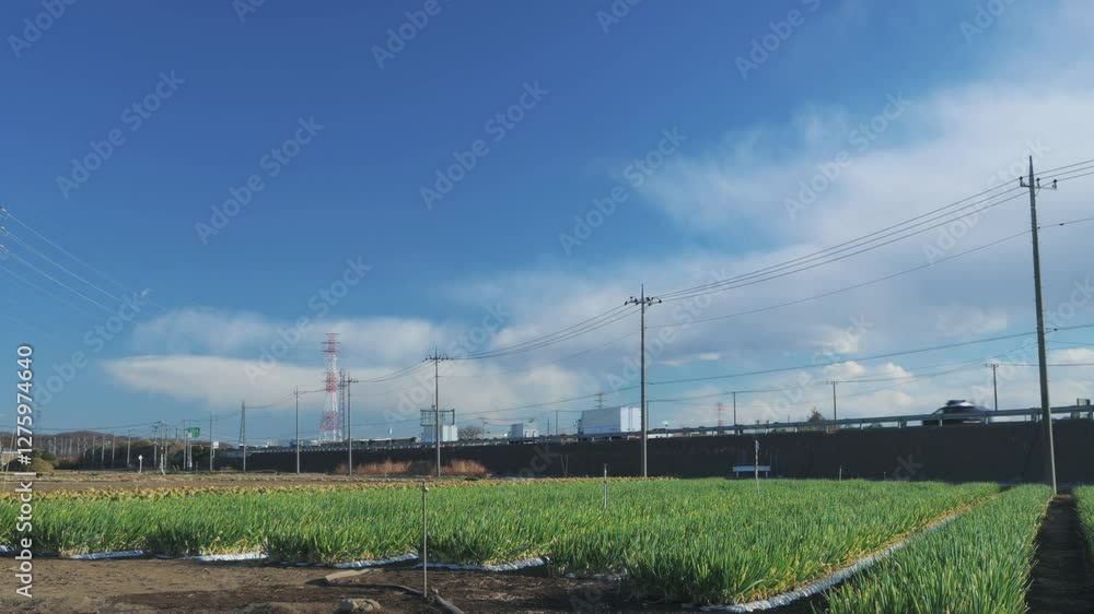 冬の畑と関越自動車道【固定撮影】