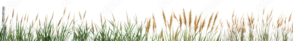 Lush Green Meadow with Swaying Grass in Natural Countryside Landscape Peaceful and Serene Rural Field with Flourishing Vegetation in Warm Summer Day Lush Green Meadow with Swaying Grass in Natural Countryside Landscape Peaceful and Serene Rural Field with Flourishing Vegetation in Warm Summer Day