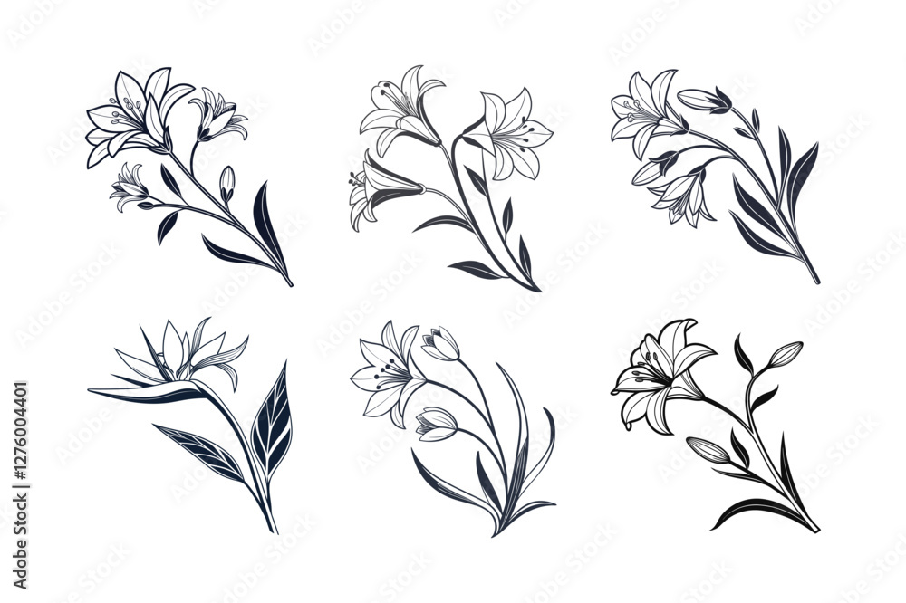 Naklejka premium Parrot’s Beak (Lotus berthelotii) silhouette vector illustration