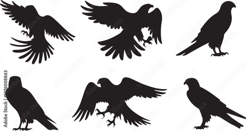 Obraz premium Falcon silhouettes